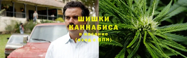 твердый Богданович