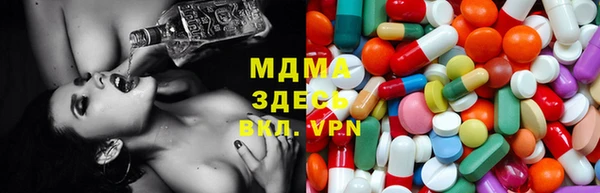 твердый Богданович