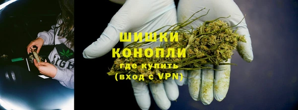 спиды Богородск