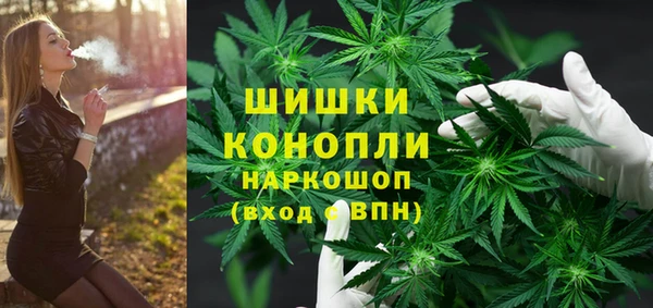 твердый Богданович