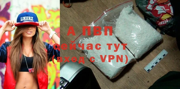 твердый Богданович