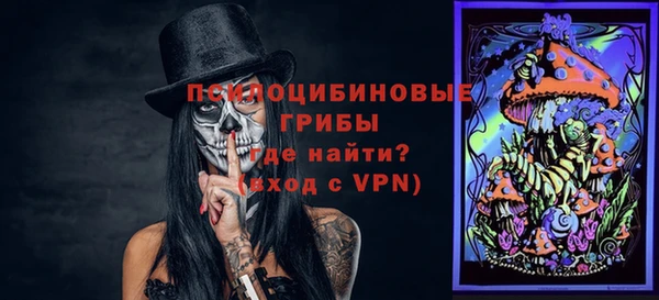 спиды Богородск