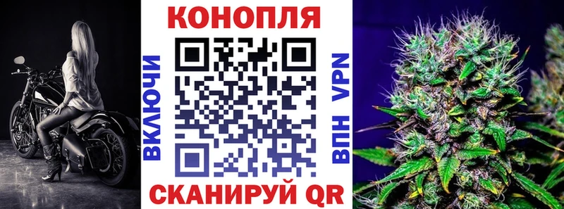 Канабис сатива Купить где Болгар